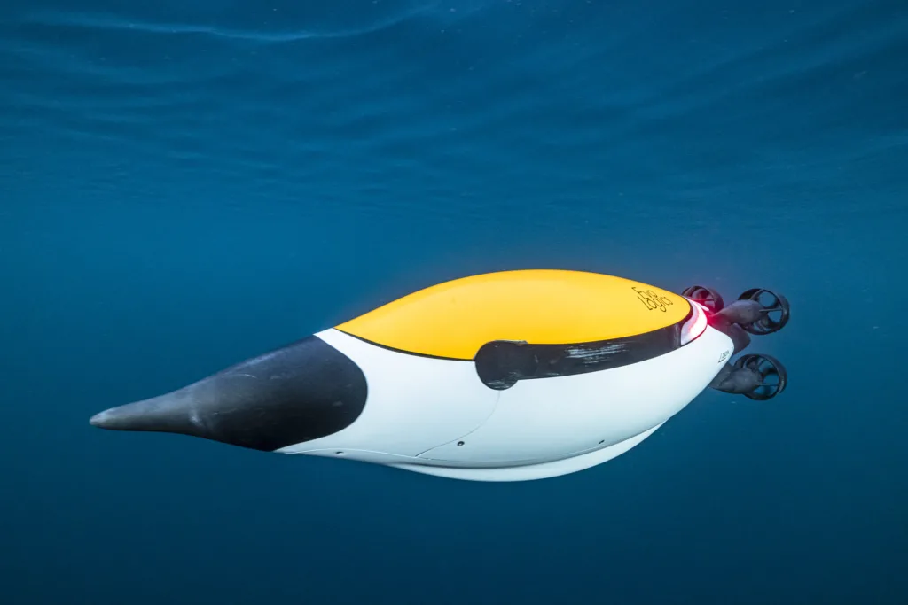 Das robotische Wasserfahrzeug Quadroin